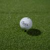 Carl's Place 4'x9' HotShot Golf Hitting Mat 